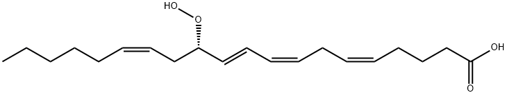 12(S)-HpETE