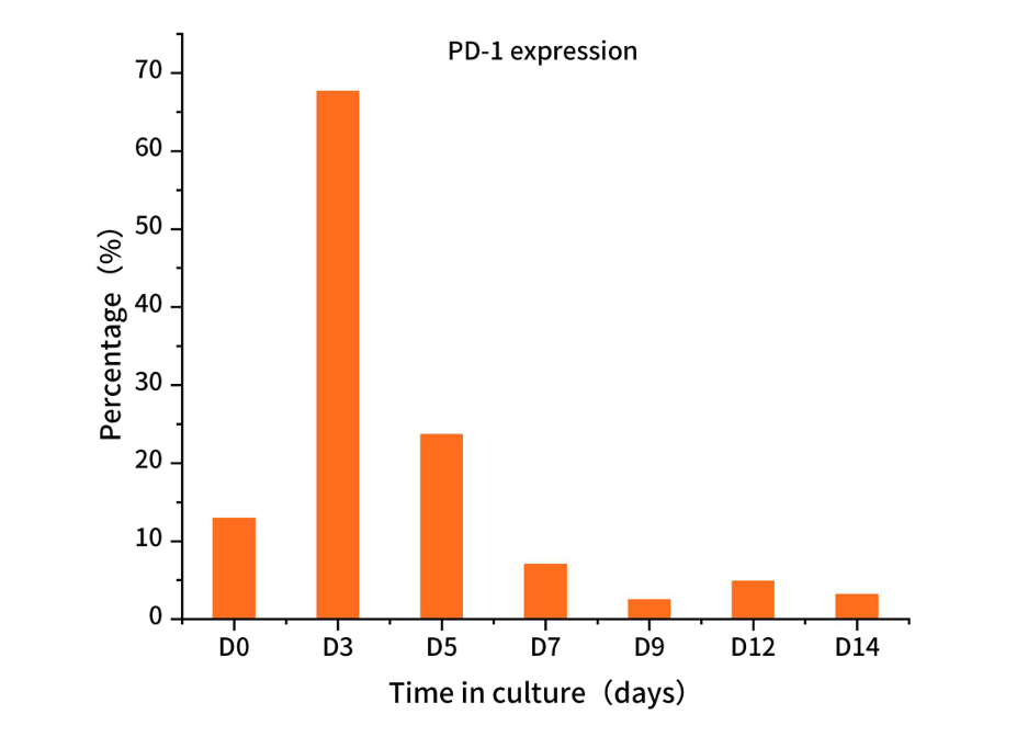 Anti-Human CD3/CD28 Monoclonal Antibody Beads