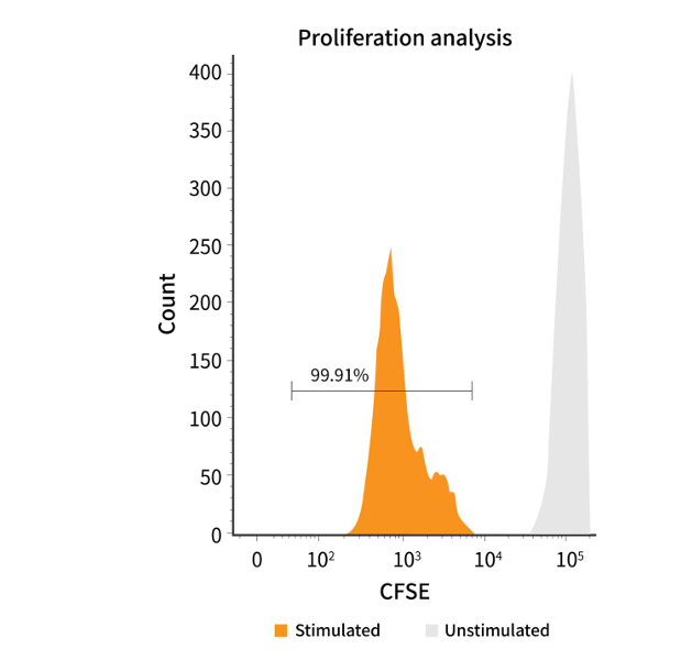 Anti-Human CD3/CD28 Monoclonal Antibody Beads