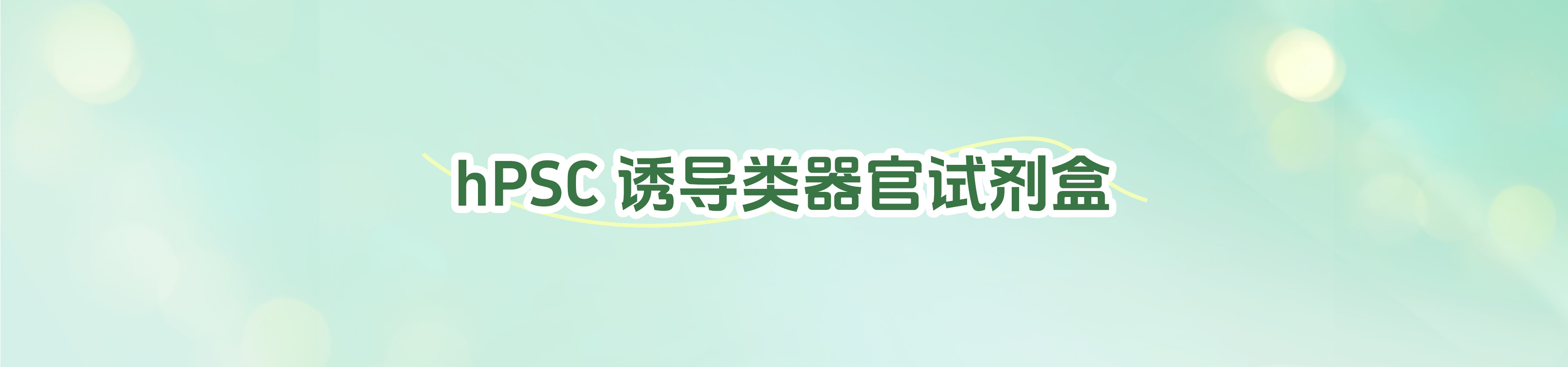 hPSC 诱导类器官试剂盒介绍
