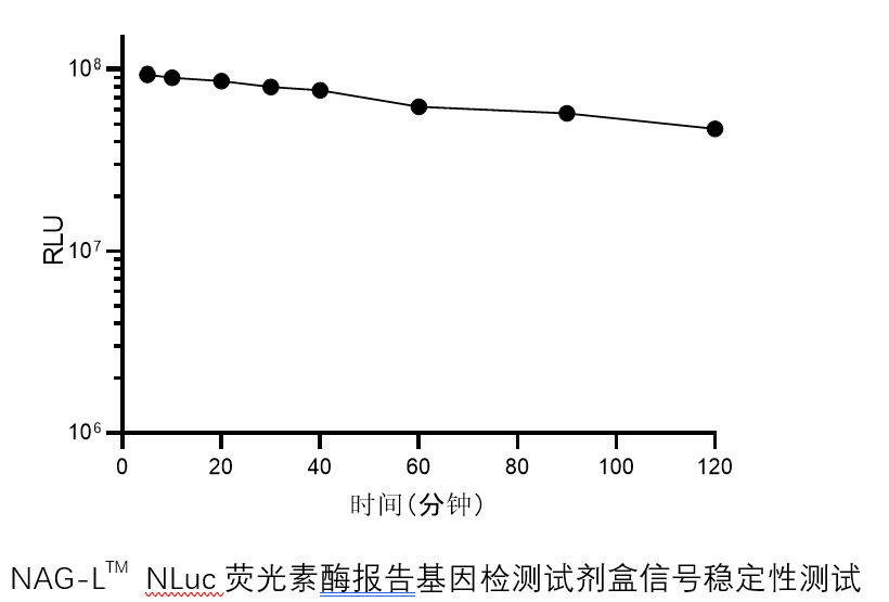 NAG-L<sup>TM</sup> NLuc荧光素酶报告基因检测试剂盒