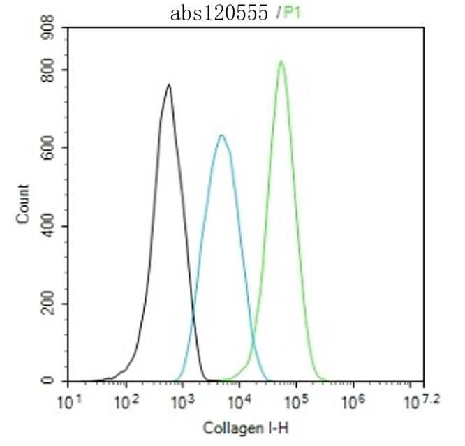 Rabbit anti-Collagen I Polyclonal Antibody