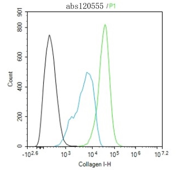 Rabbit anti-Collagen I Polyclonal Antibody