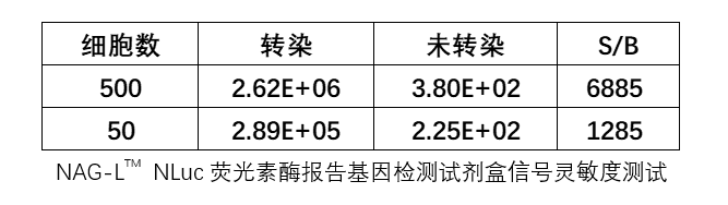 NAG-L<sup>TM</sup> NLuc荧光素酶报告基因检测试剂盒