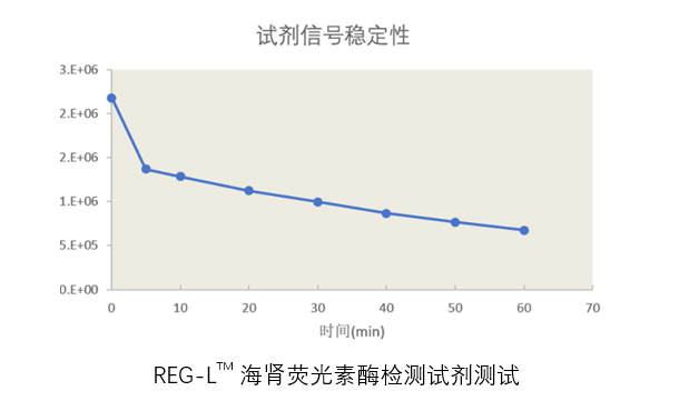 REG-L<sup>TM</sup> 海肾荧光素酶报告基因检测试剂盒