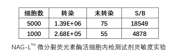 NAG-L<sup>TM </sup>微分裂荧光素酶活细胞内检测试剂盒