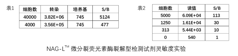 NAG-L<sup>TM</sup> 微分裂荧光素酶裂解型检测试剂盒