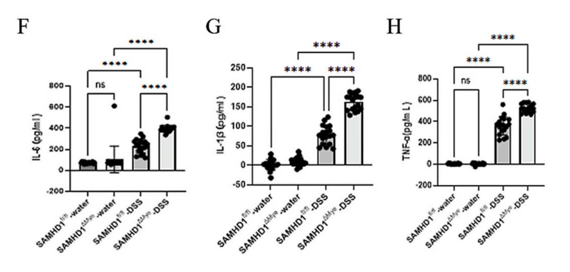 Mouse IL-1β ELISA Kit