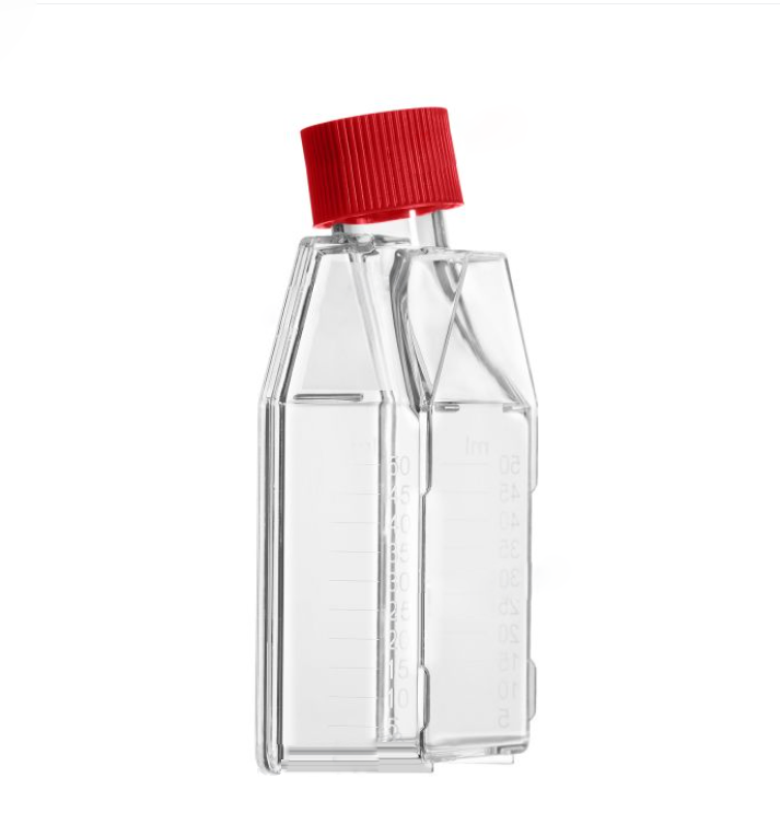 175cm²细胞培养瓶（600mL，透气盖）