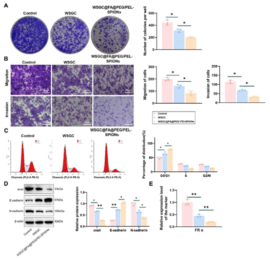 【IF 14.1】突破胃癌化疗耐药！