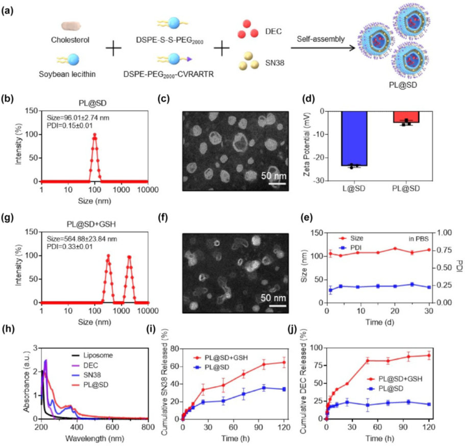 Nanoparticle characterization