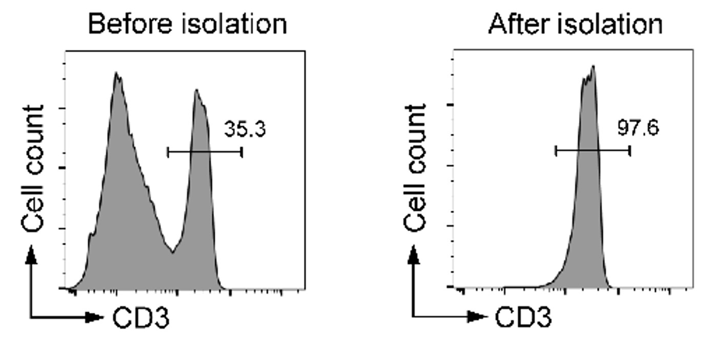 小鼠CD3+T细胞分选试剂盒（阴选法）