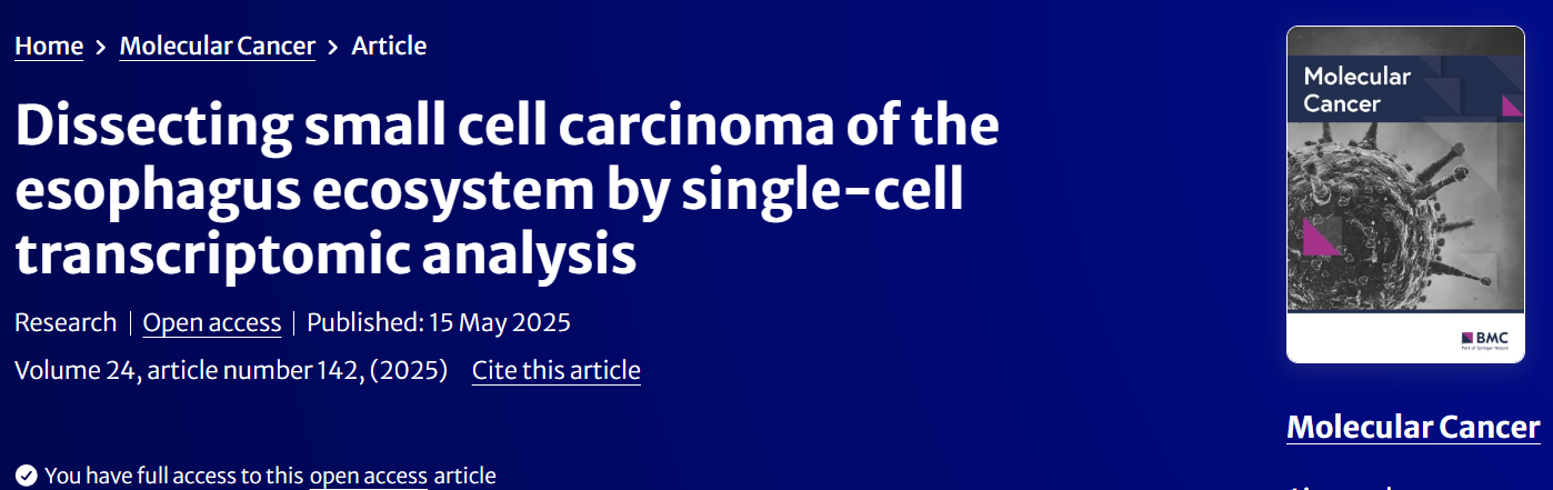 单细胞测序揭秘食管小细胞癌生态！