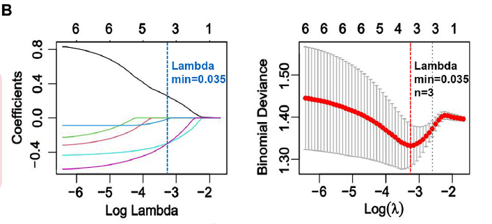 体内成像及生物分布实验