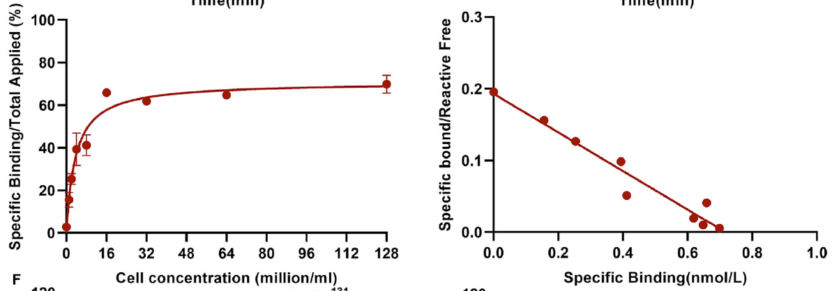 放射化学纯度检测图