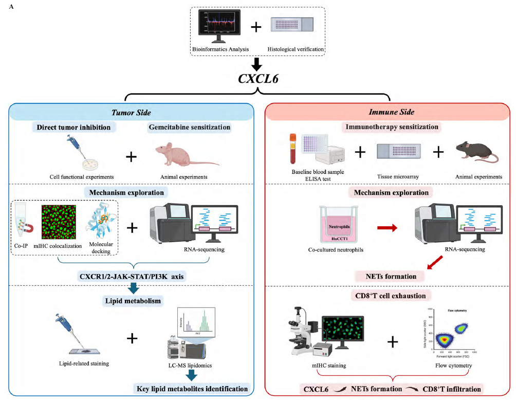 原文核心思路图
