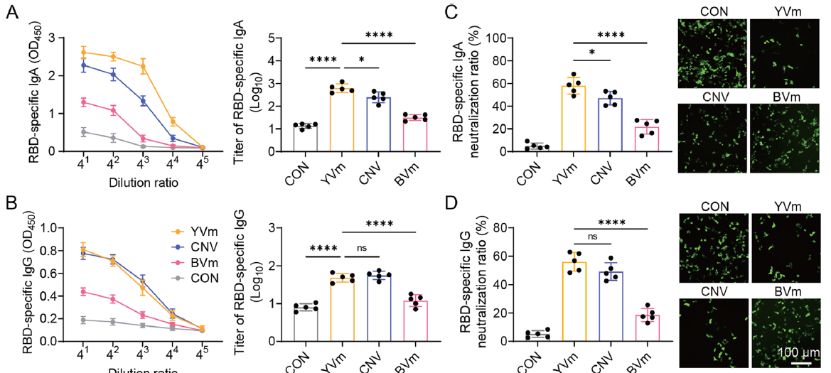 不同疫苗免疫效果对比图（图7）