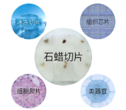 新闻图片3
