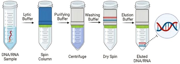 Standard workflow of silica‑spin‑column‑based nucleic acid extraction