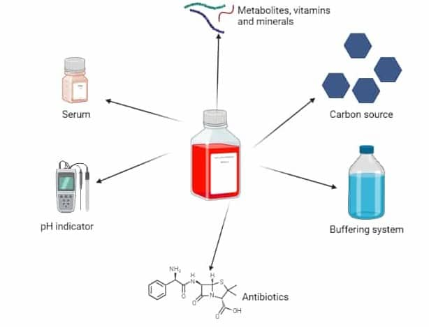 Standard component architecture of cell culture medium