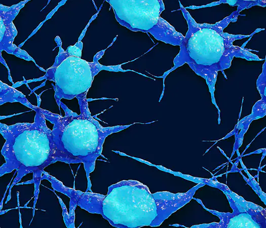 Neurons cultured in serum-free medium