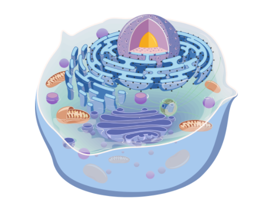 百变蛋白，百盒应对——蛋白提取试剂盒买就送！