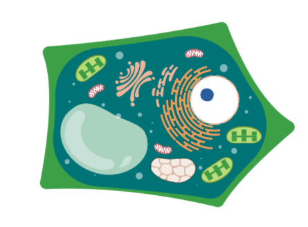 百变蛋白，百盒应对——蛋白提取试剂盒买就送！