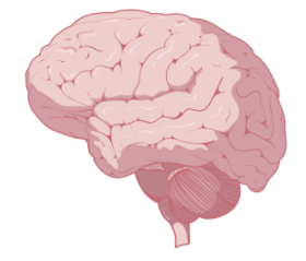 百变蛋白，百盒应对——蛋白提取试剂盒买就送！