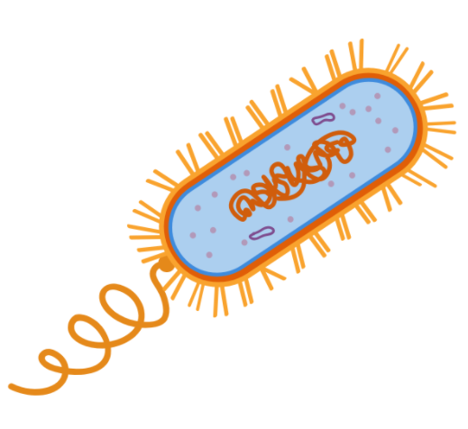 百变蛋白，百盒应对——蛋白提取试剂盒买就送！