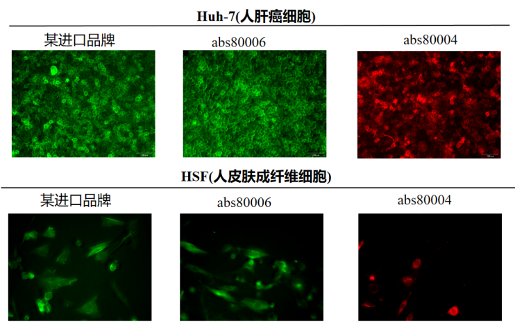 夯爆了！Absin全线特惠 好礼满额即享