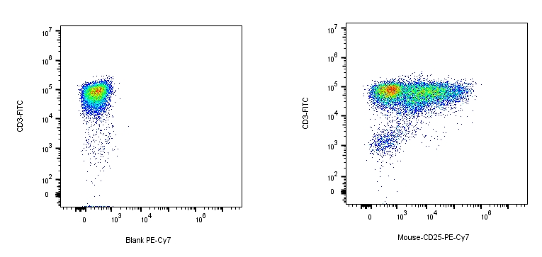 PE-Cy7 Rat anti-Mouse CD25 Antibody（PC-61.5.3）