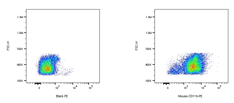 RPE Rat anti-Mouse IFNγR（CD119）Antibody（GR-20）