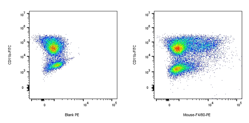RPE Rat anti-Mouse F4/80 Antibody（CI:A3-1）