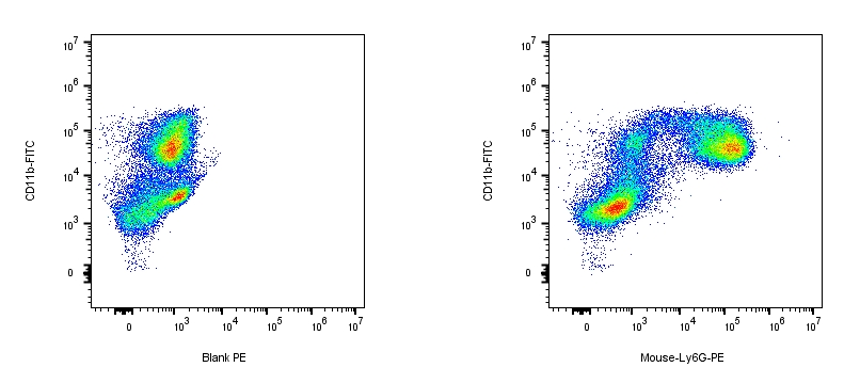 RPE Rat anti-Mouse Ly6G Antibody（1A8）