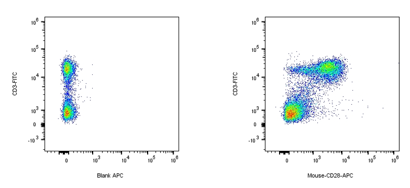 APC Syrian Hamster anti-Mouse CD28 Antibody（37.51）