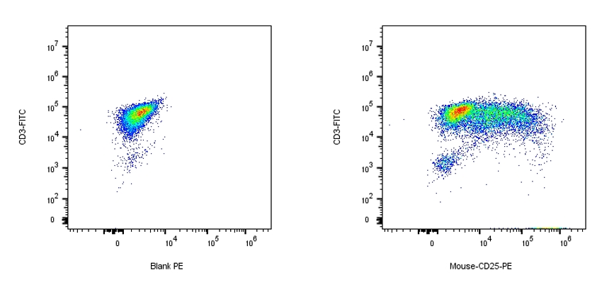 RPE Rat anti-Mouse CD25 Antibody（PC-61.5.3）