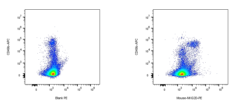 RPE Rat anti-Mouse NKG2D Antibody（CX5）