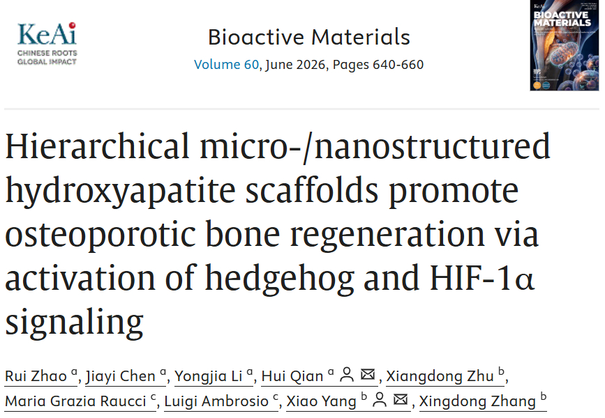 List of antibodies used in the experiment, including Absin's PTCH1 antibody abs115174