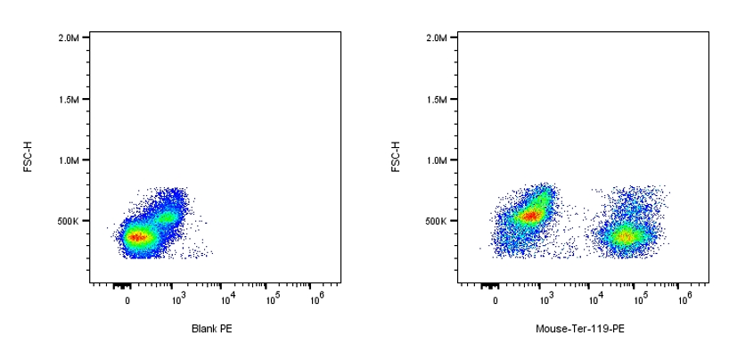 RPE Rat anti-Mouse Ter-119 Antibody（TER-119）