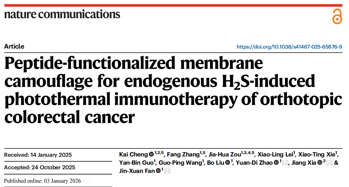 Absin Product Illustration