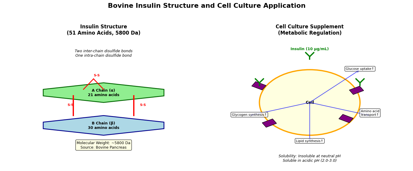 Schematic diagram of bovine insulin structure and applications