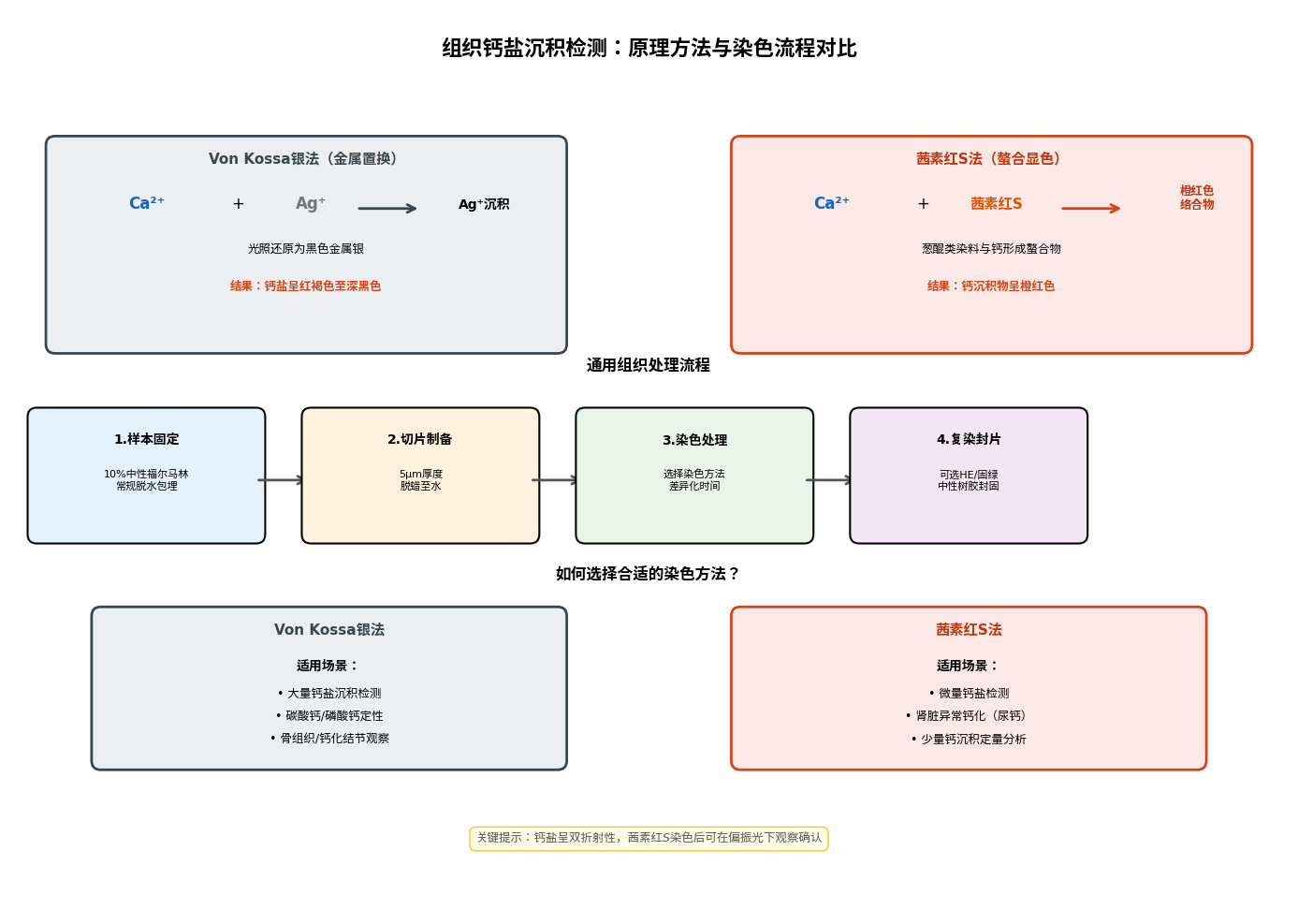 组织钙盐沉积检测:原理方法与染色流程对比