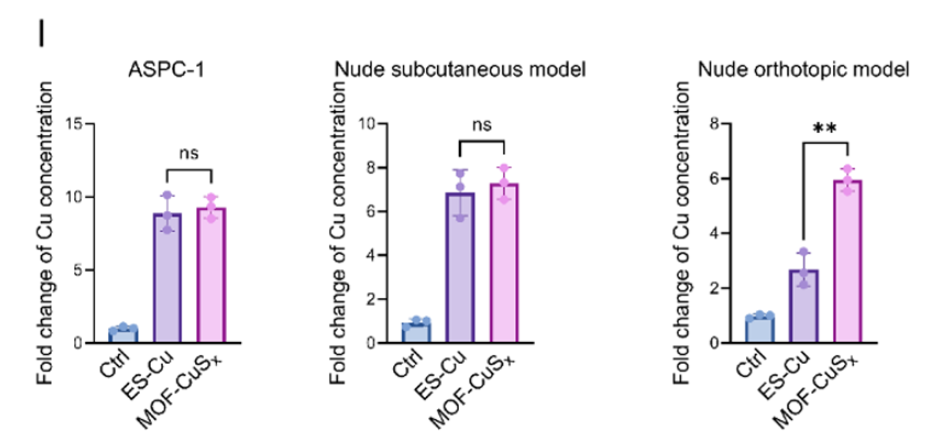 Fig. 7I Changes in tumor cell copper ion concentration under different treatment regimens