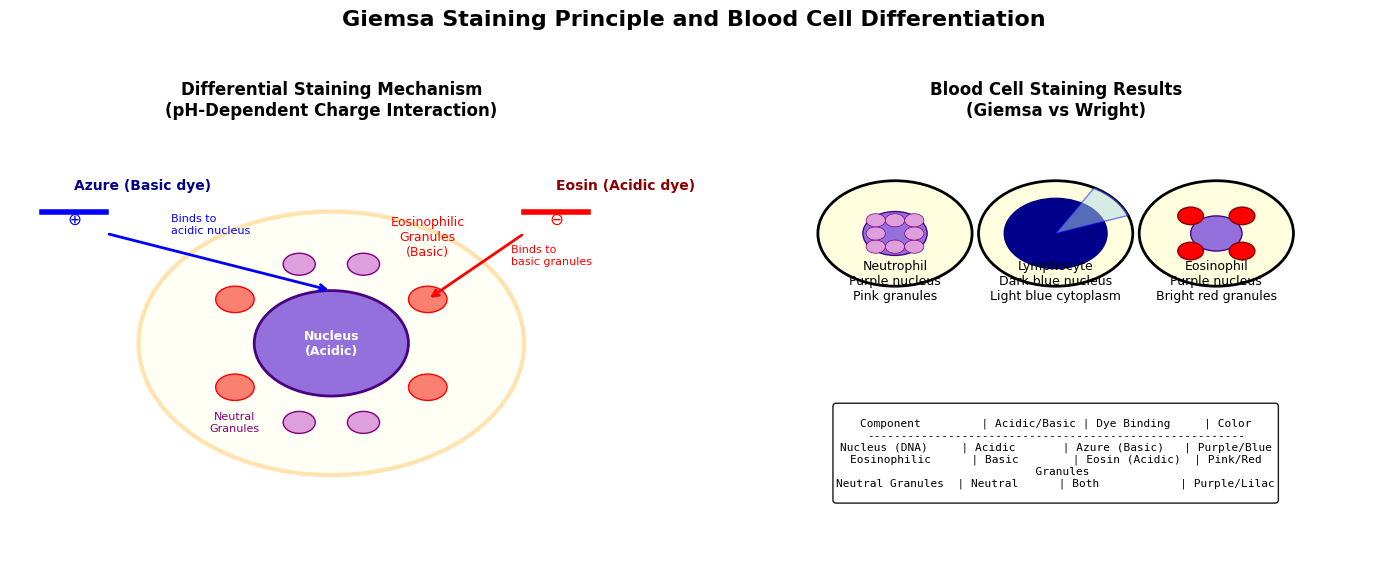 Schematic diagram of Giemsa staining principle and blood cell differentiation