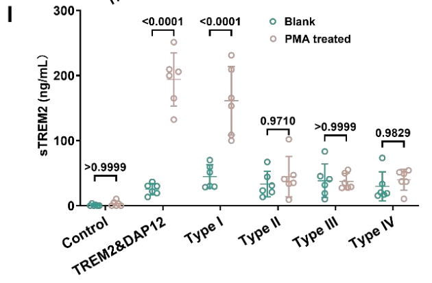 sTREM2 level detection with or without PMA treatment