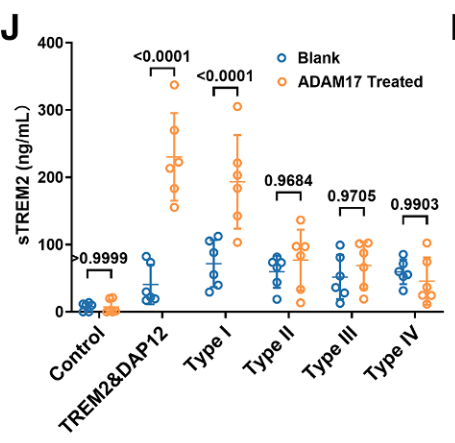 sTREM2 level detection with or without ADAM17