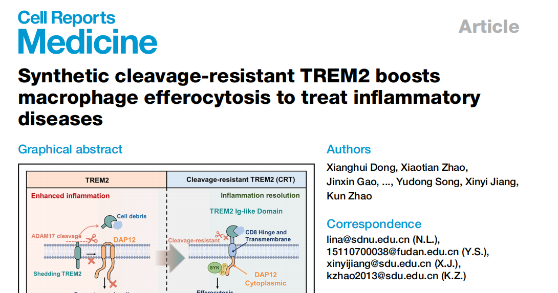 Research graphical abstract