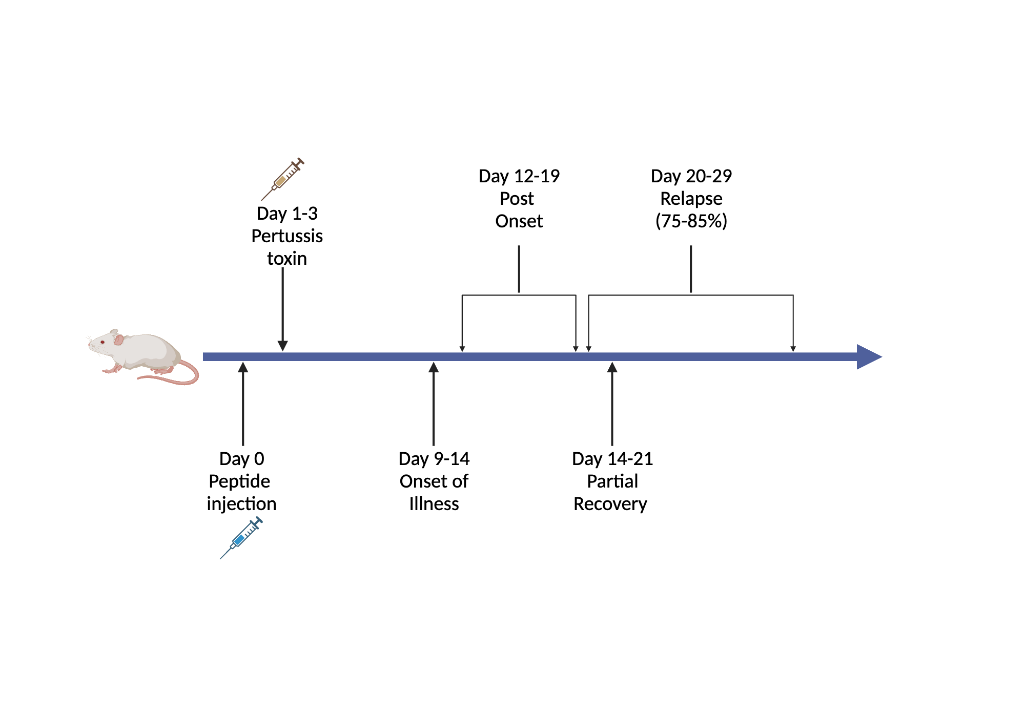EAE model construction timeline