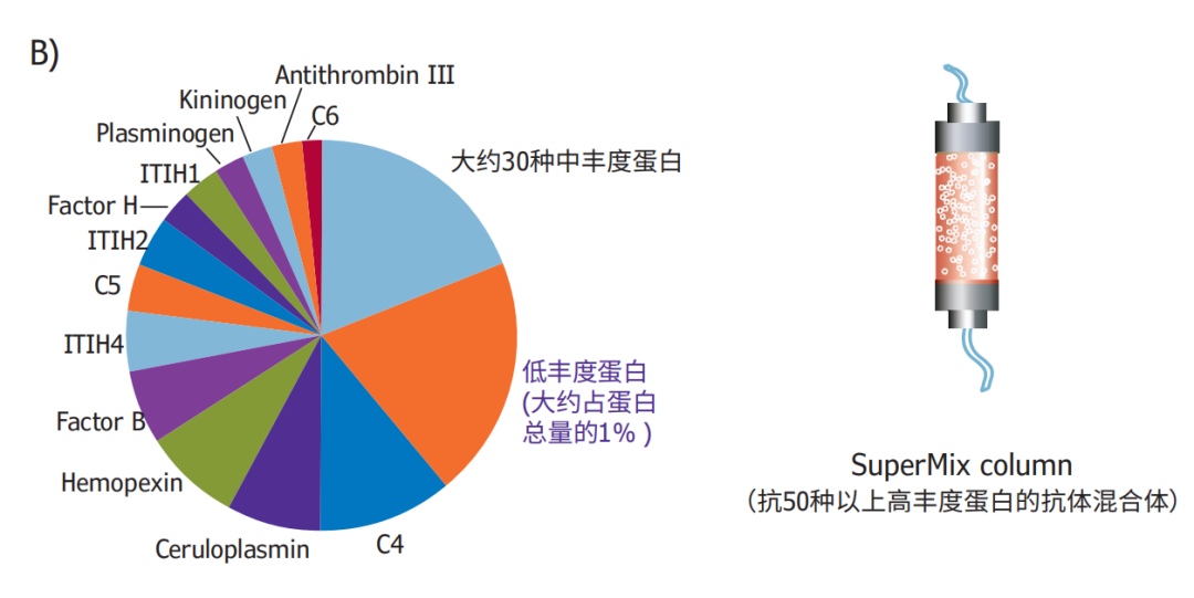 血浆高丰度蛋白占比分析