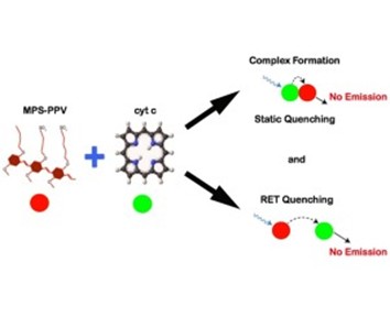Mechanism and Protection of Fluorescence Quenching